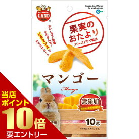 ポイント10倍※要エントリー★お買い物マラソン果実のおたより マンゴー 10gマルカン MG MARUKAN うさぎ モルモット ハムスター リス チンチラ 小動物 おやつ マンゴー