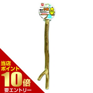 _XSi|Cg10{^vGg[X̏} 1{}J MG MARUKAN   Ƃ܂ ؐ