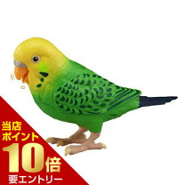 セキセイインコおもちゃ おしゃべり天才インコちゃん おしゃべりインコ おしゃべり インコ おもちゃ ブランドタカラトミー の通販