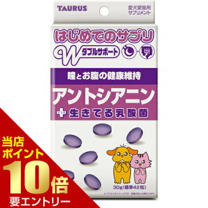 _XSi|Cg10{^vGg[͂߂ẴTv AgVAj 30g Ck  L lR ˂ Tv Tvg AgVAj _ g[X