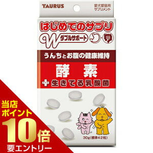 _XSi|Cg10{^vGg[͂߂ẴTv yf 30g Ck  L lR ˂ Tv Tvg yf _ g[X