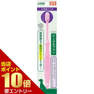 _XSi|Cg10{^vGg[PETKISSf^uV傫߃wbh  Ck  uV nuV  