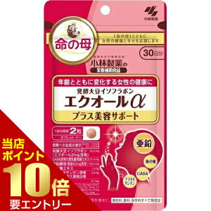 _XSi|Cg10{^vGg[GNI[ vXeT|[g 60