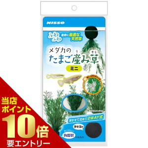 \店内全品ポイント10倍/※要エントリーメダカのたまご産み草 ミニ 1個入メダカ 水草 シダ 産卵 陶器製 おもり 浮き玉 2way