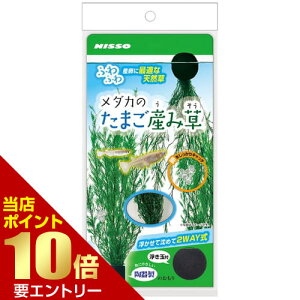 _XSi|Cg10{^vGg[_Ĵ܂Yݑ 1_J  V_ Y 퐻   2way