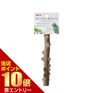 _XSi|Cg10{^vGg[łڂp[`15 1{  p[` } Ƃ܂ łڂ VR