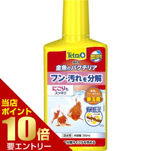 _XSi|Cg10{^vGg[eg ̃oNeA 250mL     oNeA W