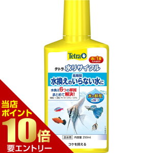 _XSi|Cg10{^vGg[eg TCN 250mL    Ɏ_ RP  oNeA W