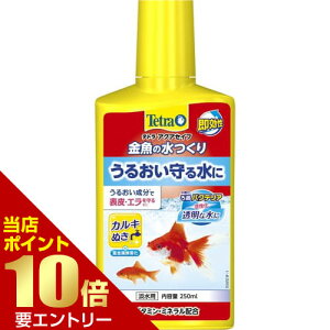 _XSi|Cg10{^vGg[eg ̐ 250mL     G \ JL W