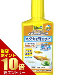 _XSi|Cg10{^vGg[eg _J̐ 250mL _J    G \ JL W