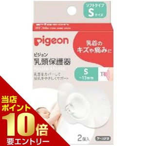 _XSi|Cg10{^vGg[sW pigeon ی \tg^Cv STCY 2