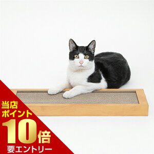 _XSi|Cg10{^vGg[HappyDays S~oɂ߂ƂVO ybgv nbs[fCY L lR _{[ ܂Ƃ ߂Ƃ ܖ ߂݂