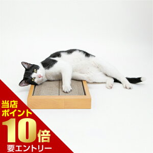 _XSi|Cg10{^vGg[HappyDays S~oɂ߂Ƃ_u ybgv nbs[fCY L lR _{[ ܂Ƃ ߂Ƃ ܖ ߂݂