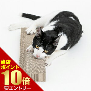 _XSi|Cg10{^vGg[HappyDays S~oɂ߂Ƃւ ybgv nbs[fCY L lR _{[ ܂Ƃ ߂Ƃ ܖ ւ