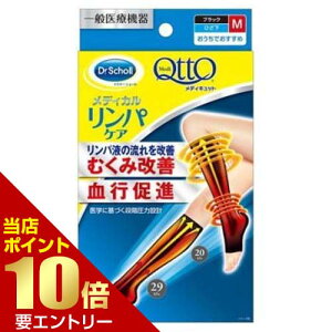 _XSi|Cg10{^vGg[fBLbg pPA e  \bNX ЂܐȂ M ނ݃PAfBLbg  tbgPApi ނ݃PA ʈË@