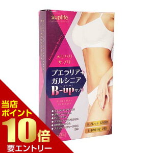 _XSi|Cg10{^vGg[vGA+KVjA B-upTv 300mg×120vGA ~tBJ KVjA KVjAJ{WA B-up Tv Tvg TvCt