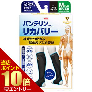 _XSi|Cg10{^vGg[oeR[ Jo[ J[tX[u ӂ͂p RXubN MTCY 2kowa a oe