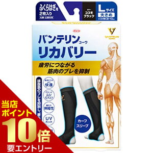 _XSi|Cg10{^vGg[oeR[ Jo[ J[tX[u ӂ͂p RXubN LTCY 2kowa a oe