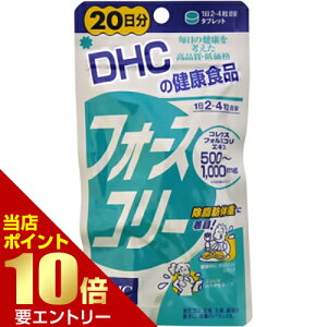 _XSi|Cg10{^vGg[DHC tH[XR[ 20 80