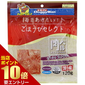 _XSi|Cg10{^vGg[قуZNg o r[t̃\tgT~ 120ghM[}   r[t T~