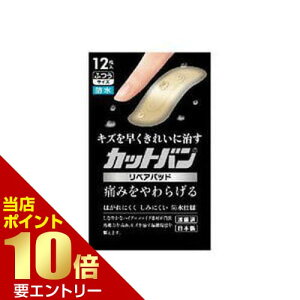 _XSi|Cg10{^vGg[Jbgo yApbh ӂTCY 12