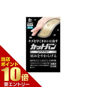 _XSi|Cg10{^vGg[Jbgo yApbh 傫߃TCY 8