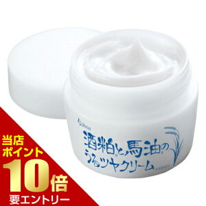 _XSi|Cg10{^vGg[r[i 𔔂Ɣn̂cN[