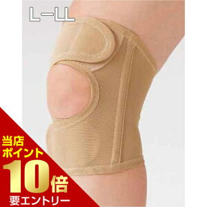 _XSi|Cg10{^vGg[EH[LOT|[^[ Gp 1