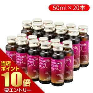 _XSi|Cg10{^vGg[20{Zbg GNX{[e R[Q20000vX܂Ƃߔ  GNX{[e R[QhN tBbVR[Q RhC` G