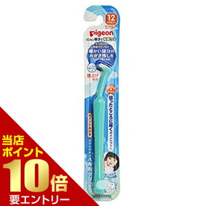 _XSi|Cg10{^vGg[sW dグpuV |Cg݂ 1{pigeon uV 