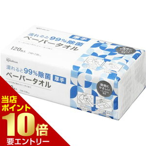 _XSi|Cg10{^vGg[GƏ y[p[^I ^Cv 120ACXI[}