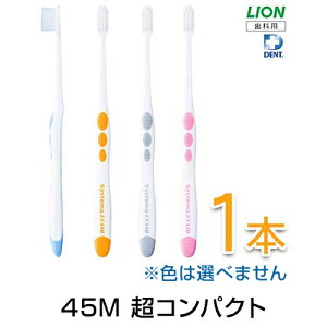 _XSi|Cg10{^vGg[CI VXe} AX uV 1{Ȑꔄ ȗp uV nuV LION CI DENT. Systema AX VXe}AX  PA