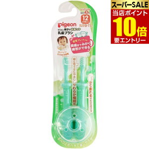 _XSi|Cg10{^vGg[sW uV bXiK3 2{sW pigeon xr[p Ԃp ͂Ԃ炵