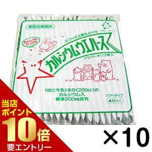 _XSi|Cg10{^vGg[V JVEEGn[X oj 40×10JVEEFn[X JVE َq qǂ q Ɩp