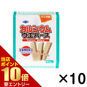 _XSi|Cg10{^vGg[ JVEEGn[X 40×10h{@\Hi JVE JVEEGn[X