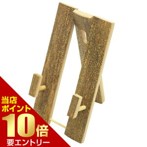 _XSi|Cg10{^vGg[S}|qāq| SS(14cm)񂷗