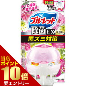 _XSi|Cg10{^vGg[t̃u[bgEX tOX A}eBbNt[ { 67mLgCp u[bg EX A}̍