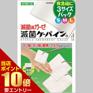 _XSi|Cg10{^vGg[{Y ŋۃP[pC 3TCYpbN 10 ʈË@K[[ 3TCYZbg ی