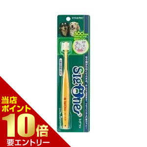 _XSi|Cg10{^vGg[roebN VO uV ^p360x݌v ɍז PA 炩f