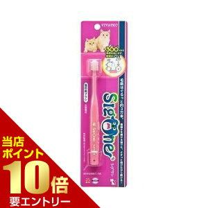 _XSi|Cg10{^vGg[roebN VO uV LpLp uV 360x ɍז 炩 {