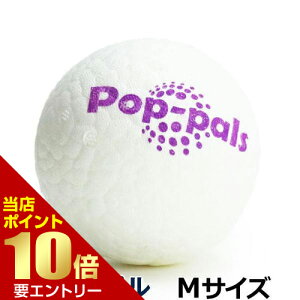 _XSi|Cg10{^vGg[vbc GiGwi |bvp Mp{[  y v ې􂢉\ CtBiW[fގgp