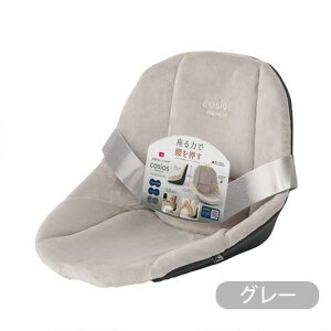 _XSi|Cg10{^vGg[{[hNbV cosios PREMIUM RVIXv~ApT|[g ՃNbV  NbV p␳  K  p