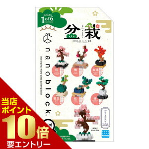 _XSi|Cg10{^vGg[J_ ~jim ~̓~jim mininano RNV