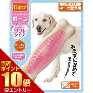 _XSi|Cg10{^vGg[n[c f^ {[ \tg `^p 1{