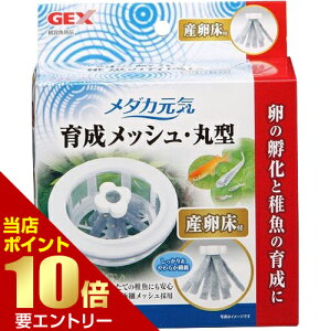 _XSi|Cg10{^vGg[WFbNX _JC 琬bV ی^ Yt 1R