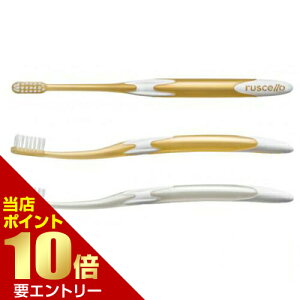 _XSi|Cg10{^vGg[VF uV W-10 × 6{Ȑꔄ VF uV GC uV uV W[V[ VF zCgjO z[zCgjO GC ruscello