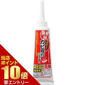 _XSi|Cg10{^vGg[ƖpXJbƃJrWF 1{