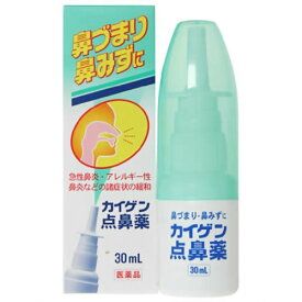 【第2類医薬品】カイゲン点鼻薬 30mlカイゲン点鼻薬 30ml 改源(カイゲン) 鼻炎薬 鼻水 鼻炎スプレー