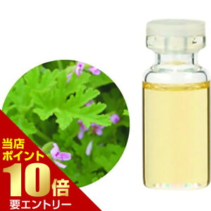 _XSi|Cg10{^vGg[̖ I[KjbNGbZVIC [jE 3mL[jE݌ɏ m[N[Em[^[