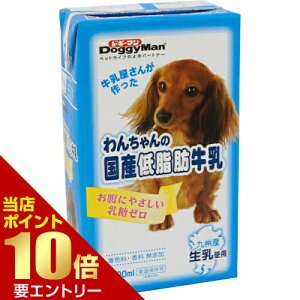 _XSi|Cg10{^vGg[hM[} 񂿂̍Yᎉb 1L